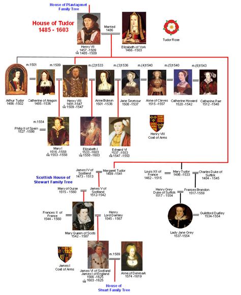 tudor family timeline.